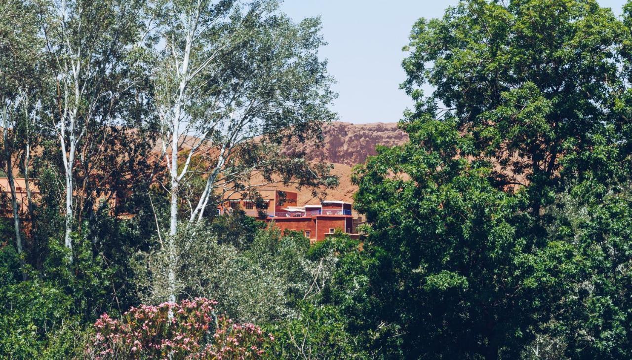 Monkey Fingers House By Fatima Mellal Hotel Tinghir Exterior foto